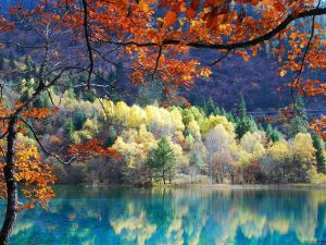 Tour Du Lịch Trung Quốc | Hà Nội - Thành Đô - Cửu Trại Câu - Trùng Khánh 7N6Đ