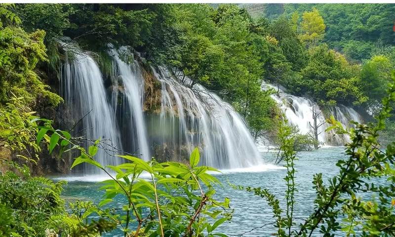 Thác Thụ Chính