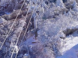 Tour Du lịch Trung Quốc |(NO SHOPPING) HÀ NỘI - CÔN MINH – NÚI TUYẾT KIỆU TỬ - VƯƠNG QUỐC TÍ HON – HỒ ĐIỀN TRÌ - HÀ KHẨU - HÀ NỘI